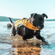 Жилетка Ezydog Life Jacket X2 Boost XS 7 - 11 кг жовта (9346036005345) - зображення 5