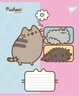 Набор тетрадей ученических YES Pusheen Funny A5 12 листов в косую линию x 25 шт (767604) (4823092292025) - изображение 3