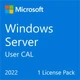 Примірник ПЗ Microsoft Windows Server 2022 CAL 1 User рос, ОЕМ без носія - изображение 1