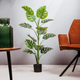 Sztuczna roślina Homla Tropical Zone Monstera 120 cm (5904183882048) - obraz 5
