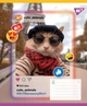 Набор тетрадей ученических YES Cute animals A5 18 листов в линию x 25 шт (4823092293268) - изображение 2