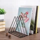 Стеллаж подставка для хранения виниловых пластинок треугольник 26x18 Black - изображение 4