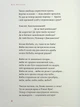Берестечко - Ліна Костенко - зображення 10