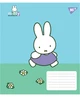 Набір зошитів учнівських Yes Miffy Spring А5 24 аркуші Клітка 20 шт (767629) - зображення 5