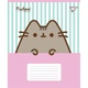 Зошит шкільний Yes Pusheen Candy 12 аркушів лінія 25 штук 767598 - изображение 2