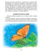 Всі добрі люди - одна сім`я. Василь Сухомлинський, Школа - изображение 6