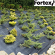 Агротекстиль Fortex 2,10х25 м, 52,5 м2, 100 г/м2 - изображение 11