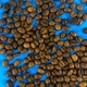 Кава в зернах крафтовий купаж 90% арабіка 10% робуста свіжого обсмаження 1 кг - зображення 1