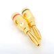 Штекери конектори роз'єм типу Банан Alitek Banana Plug Gold (комплект 2 шт.) (48865) - зображення 4
