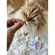 Вітаміни GimCat Every Day Malt Tabs для котів, 40 г - зображення 4