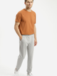 Spodnie dresowe męskie bawełniane Cross Jeans 49072-004 M Jasnoszare (8697319730531) - obraz 3