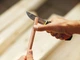 Нож с точилкой усиленный Fiskars StaySharp (1023619) - изображение 7