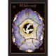 Карты Оракул Рунический – Rune Oracle. AGM Urania - изображение 4
