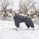Комбінезон Pet Fashion «Cold» для собак, розмір ML, сірий - зображення 5
