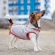 Жилет Pet Fashion «Fleecy» для собак, размер XS2, серо-красный - изображение 4
