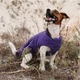 Жилет Pet Fashion «E.Vest» для собак, размер XS2, фиолетовый - изображение 4