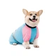 Комбінезон Pet Fashion Milly дівчинка для собак XL коргі - зображення 2
