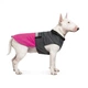 Попона Pet Fashion «Roy» для собак, размер 4XL, малиново-сірий - зображення 3