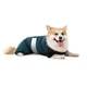 Комбинезон Pet Fashion Den для собак S3 - изображение 2