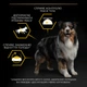 Сухой корм для взрослых собак Purina Pro Plan с избыточной массой тела и/или стерилизованных с белой рыбой 14 кг (8445290525338) - изображение 7