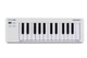 MIDI-клавіатура Arturia MicroLab mk3 (White) - зображення 1