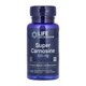 Карнозин Life Extension Super Carnosine 500 mg 60 каспул - зображення 1