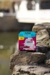 Змінні картриджі Venus 5 Comfortglide Sugarberry з ароматом солодких ягід 6 шт. - зображення 1