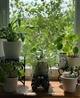 Подставка металлическая для цветов-вазонов NC Home Plant черная 110396 - изображение 5