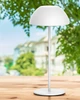 Уличный светильник Goldlux 329936-PLX Tanzania LED 1x1.8W 2700K 160Lm IP44 - изображение 2