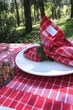 Скатерть с салфетками Istanbul Piknik Set 140 х 180 см Happy Days Kirmizi - изображение 5