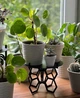 Подставка металлическая для цветов-вазонов Nice & Cozy Stand черная 110399 - изображение 1