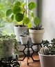 Подставка металлическая для цветов-вазонов Nice & Cozy Stand черная 110399 - изображение 3