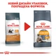 Сухий корм для кішок Royal Canin Hair & Skin Care 400 г (3182550721721) (2526004)A - изображение 3