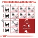 Сухий корм для домашніх та вуличних кішок Royal Canin Fit 10 кг (3182550702249) (2520100)A - изображение 5