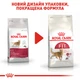 Сухий корм для домашніх та вуличних кішок Royal Canin Fit 10 кг (3182550702249) (2520100)A - изображение 7