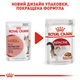 Упаковка вологого корму для дорослих кішок Royal Canin Instinctive in Gravy 85 г х 12 шт (9003579308936) (40590010)A - изображение 9