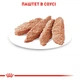 Упаковка вологого корму для дорослих стерилізованих кішок Royal Canin Sterilized Loaf (паштет) 85 г х 12 шт (9003579003923) (41470010)A - изображение 4