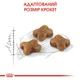 Сухий корм для кошенят Royal Canin Kitten 400 г (3182550702379) (25220049)A - изображение 3