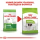 Сухий корм для собак Royal Canin X-Small Adult мініатюрних порід від 10 місяців до 8 років 500 г (3182550793704) (10030050)A - изображение 6