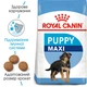 Сухий корм для цуценят великих порід Royal Canin Maxi Puppy від 2 до 15 місяців 15 кг (3182550402163) (30061501)A - изображение 2