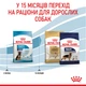 Сухий корм для цуценят великих порід Royal Canin Maxi Puppy від 2 до 15 місяців 15 кг (3182550402163) (30061501)A - изображение 7