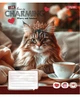 Набір зошитів 24арк. лінія 1Вересня Charming, уп.20шт. (768188) - зображення 2