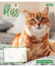 Набор тетрадей 12л. линия 1Вересня Bliss, уп.25шт. 768052 - изображение 4