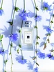 Одеколон Edс Jo Malone Wild Bluebell 30 Мл - изображение 5