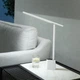 Настольная аккумуляторная Led лампа Baseus Smart Eye Series Rechargeable Folding Reading Desk Lamp (DGZG-02) - изображение 8