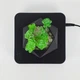 Магнітний левітаційний горщик для рослин HCNT Magnetic Levitating Pot M10-GW4 Black (SIM10-GW4) - зображення 3