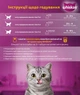 Промо набор влажного корма Whiskas с лососем в соусе 28 шт по 85 г + Tasty Mix ягненок с индейкой 9 шт по 85 г (C5900951302801) - изображение 6
