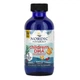 Рыбий жир для детей Nordic Naturals Children's DHA от 1 до 6 лет 119 мл - изображение 1