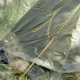 Намет Grand Canyon Apex 1 Capulet Olive (330001) - зображення 20