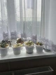 Тюль арка грексетка с купоном 160Х500 белая - изображение 1